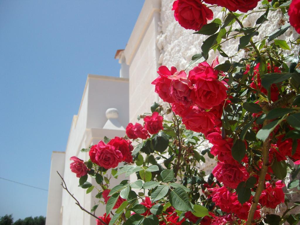 Masseria Nuova Pensionat San Marzano di San Giuseppe Eksteriør billede